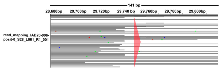 Figure 2