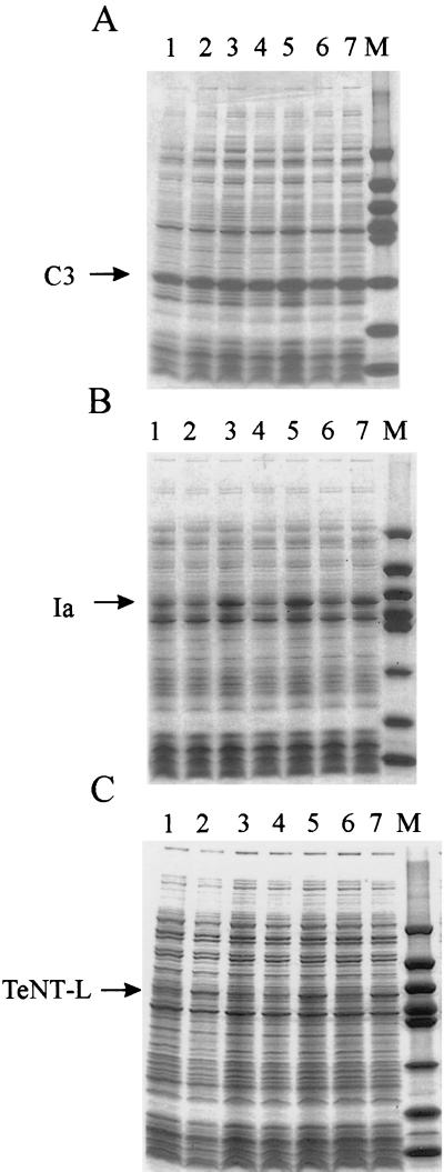 FIG. 5