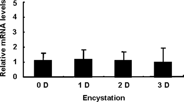 FIG. 5.