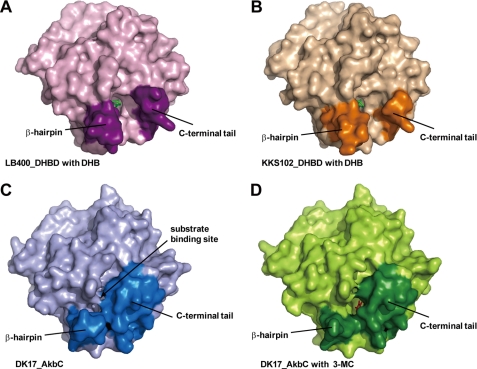 FIGURE 4.