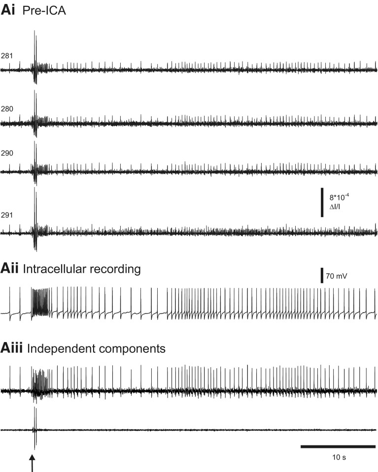 Fig. 7.