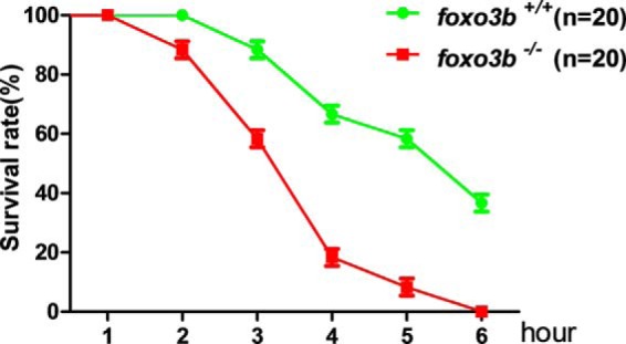 FIGURE 11.