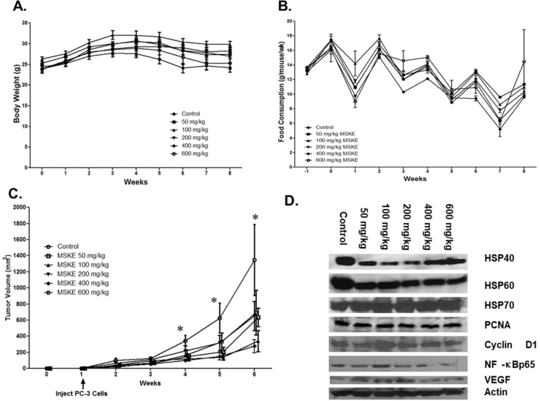 Fig. 6