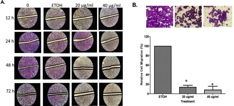 Fig. 4