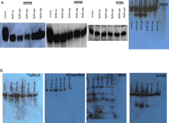 Supplementary Figure 3