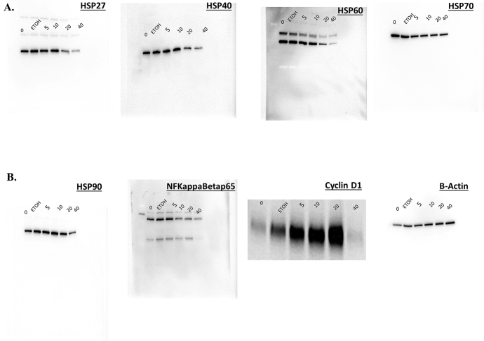 Supplementary Figure 4