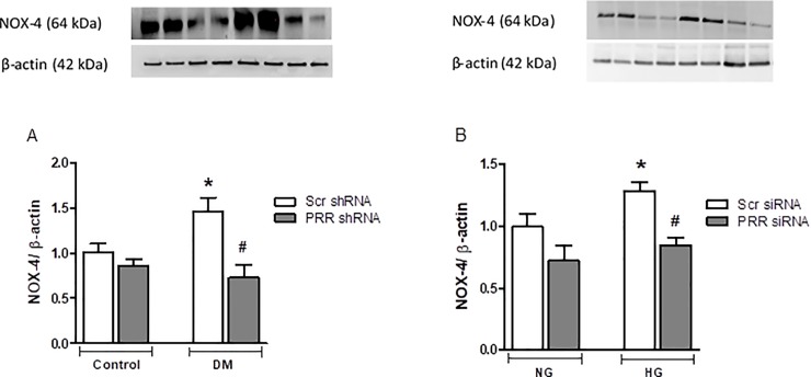 Fig 10