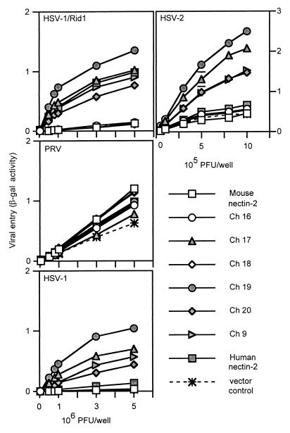 FIG. 7