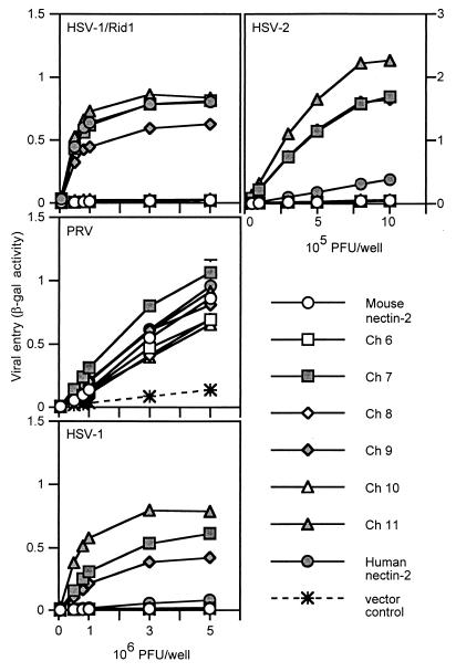 FIG. 4