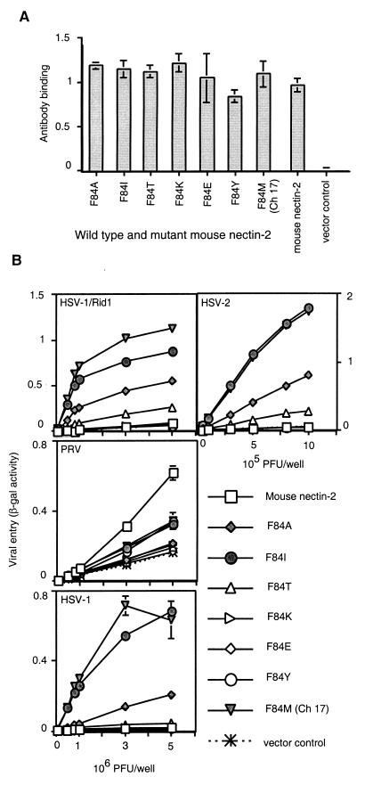 FIG. 8