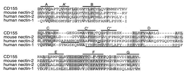 FIG. 10