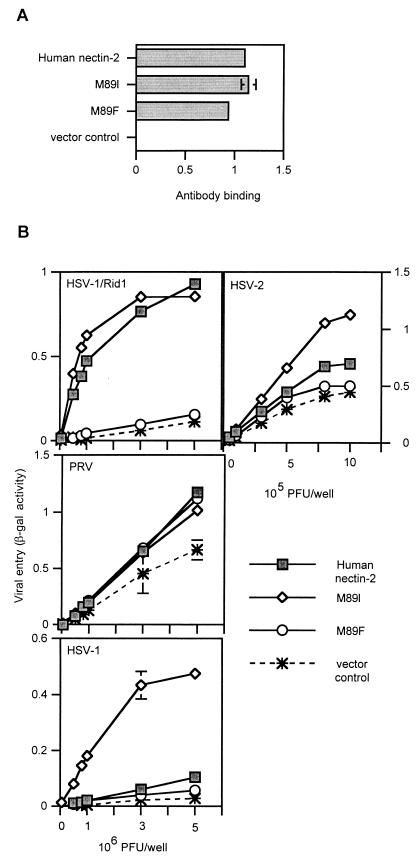 FIG. 9