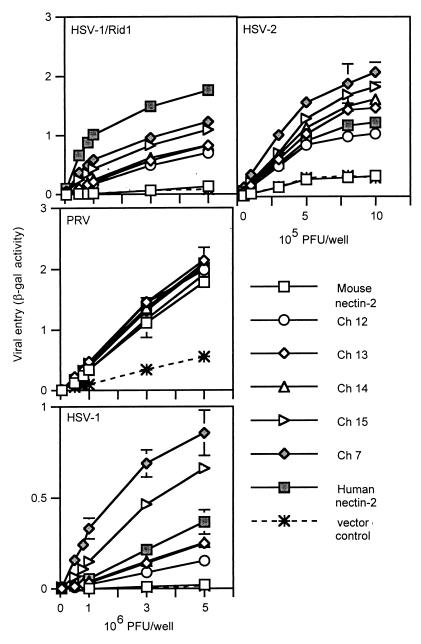 FIG. 6