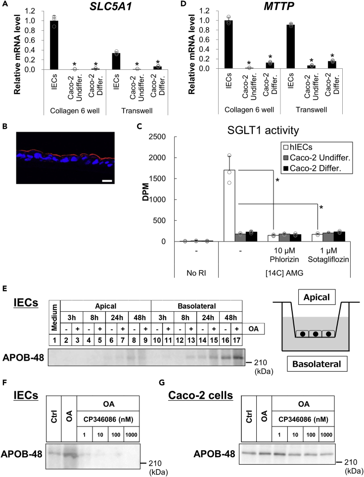 Figure 4