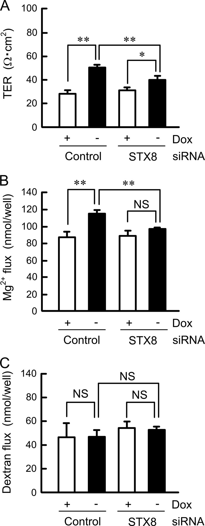 FIGURE 5.