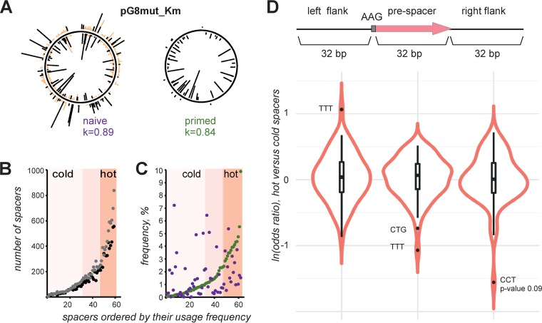 FIG 3