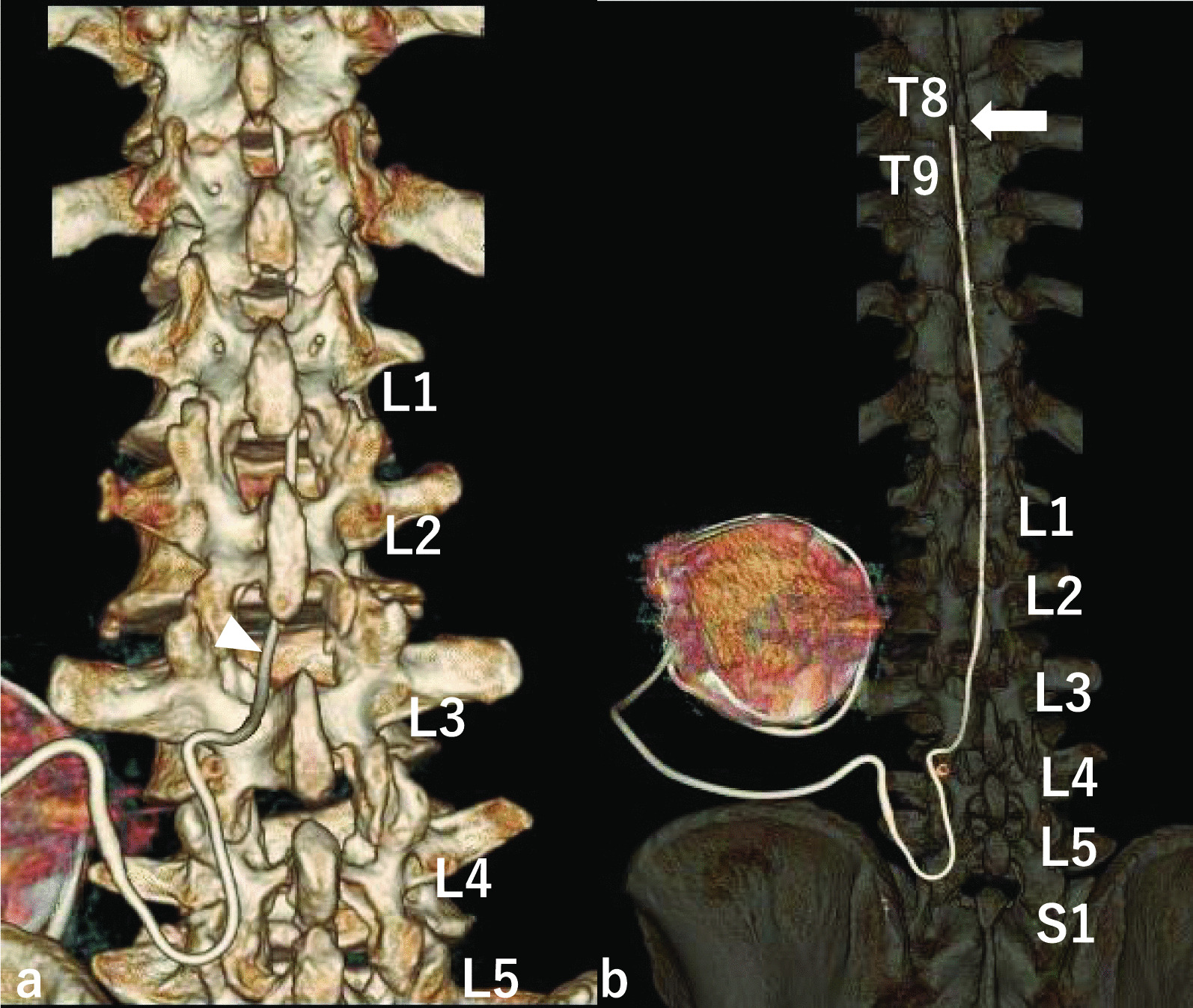 Fig. 5