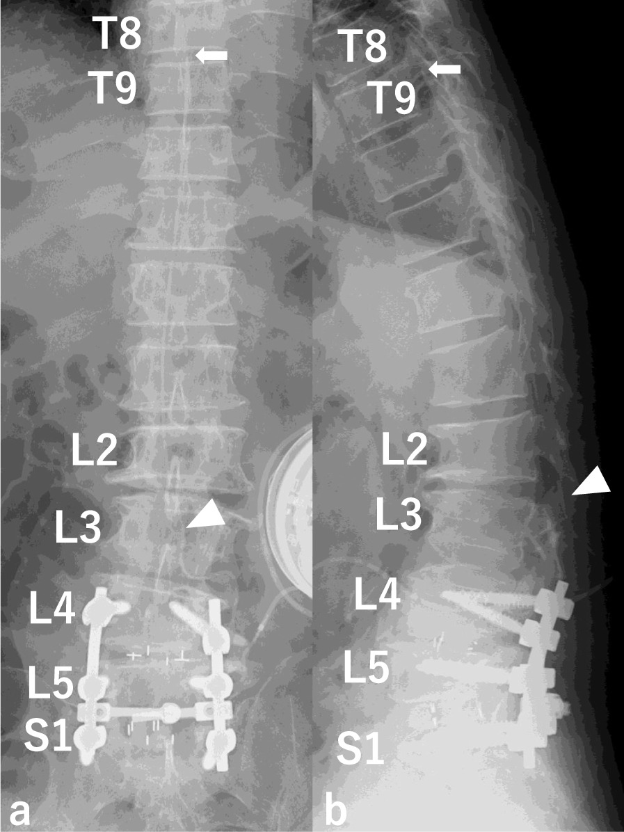 Fig. 6