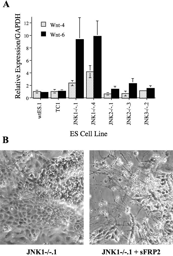 FIG.8.