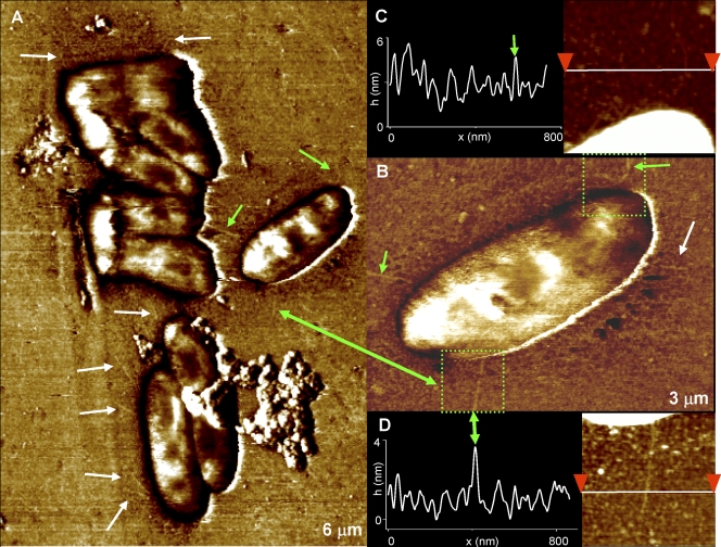 FIG. 3.