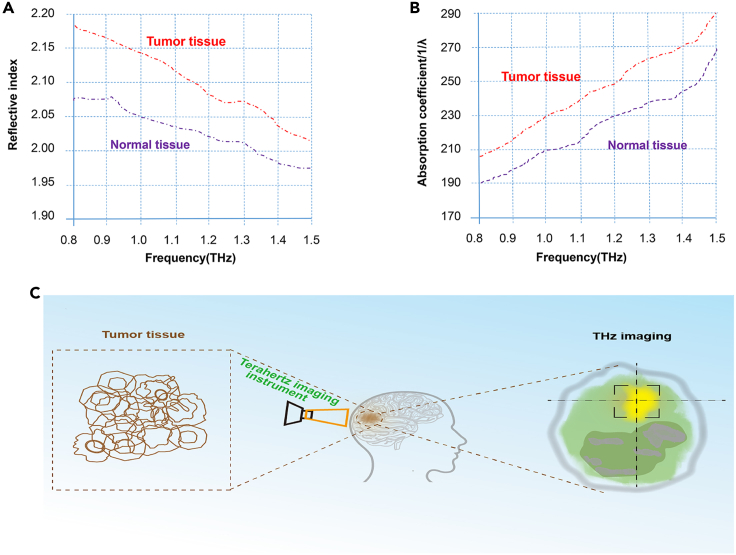 Figure 3