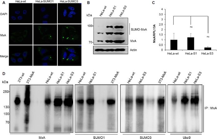 FIG 4