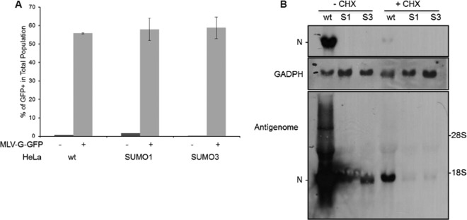 FIG 2