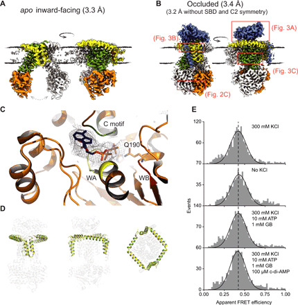 Fig. 2