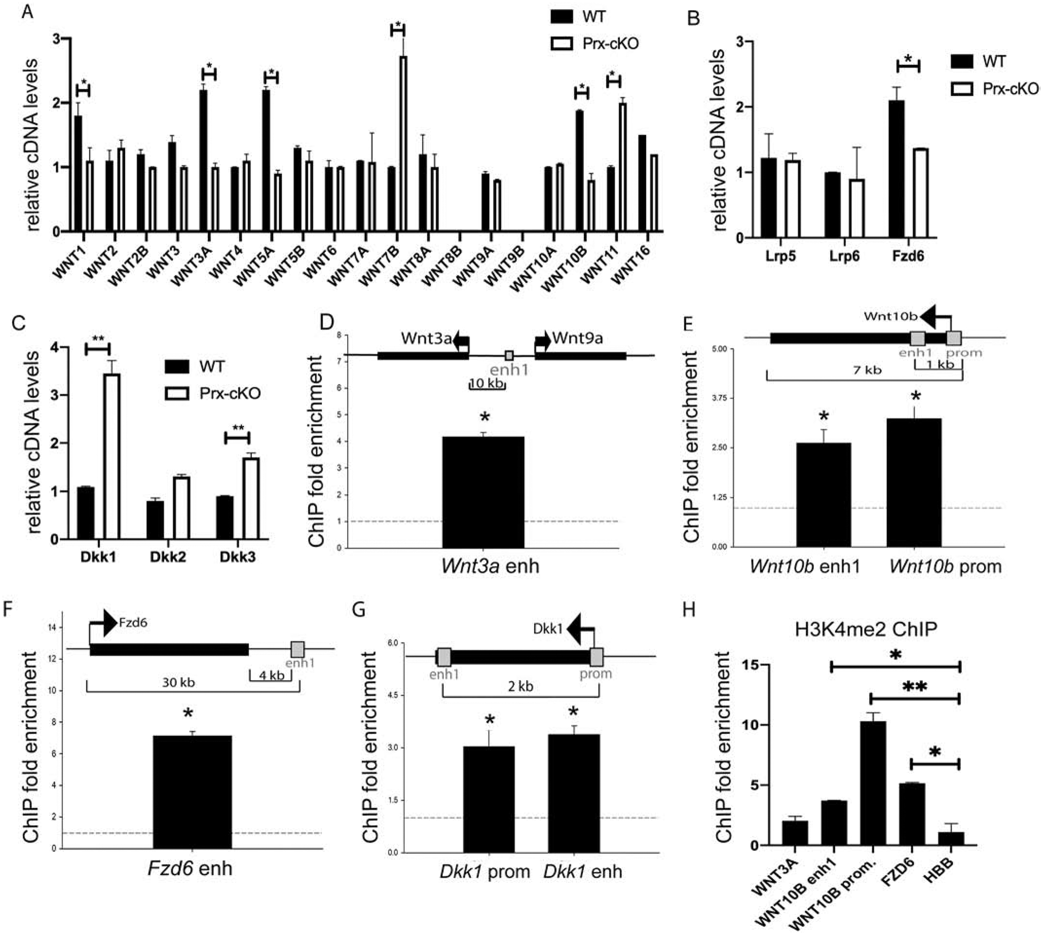 Figure 4: