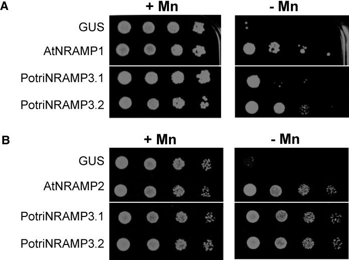 Fig. 4.