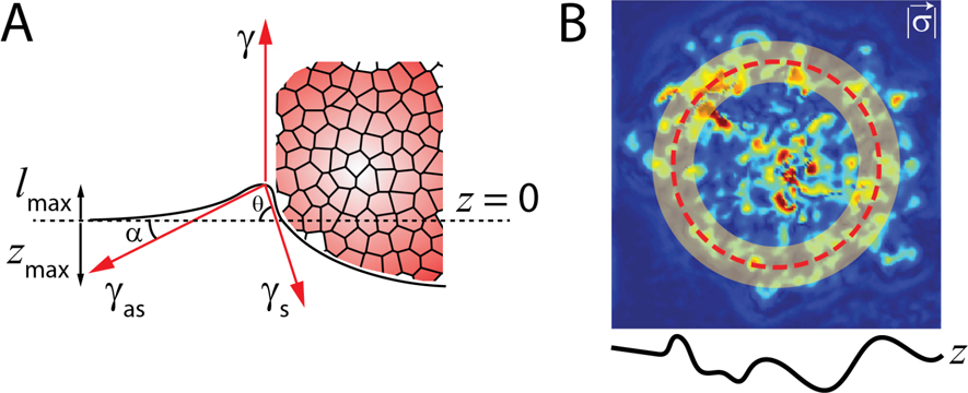 FIG. 8.