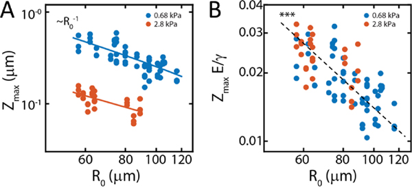 FIG. 7.