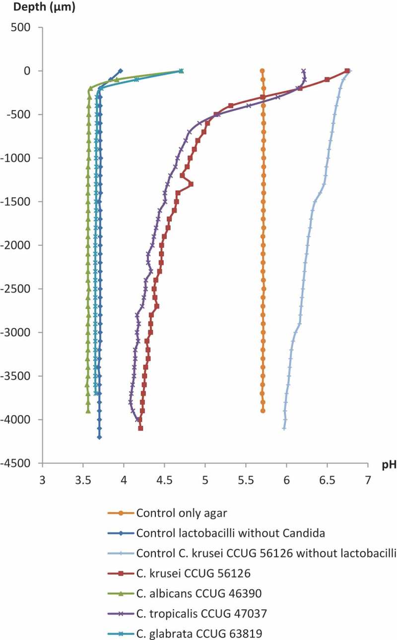 Figure 3. 