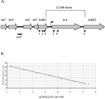 FIG. 1.