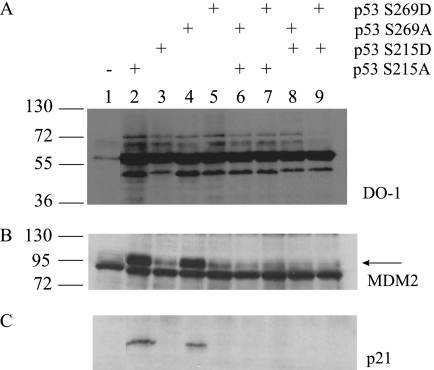 FIGURE 10.