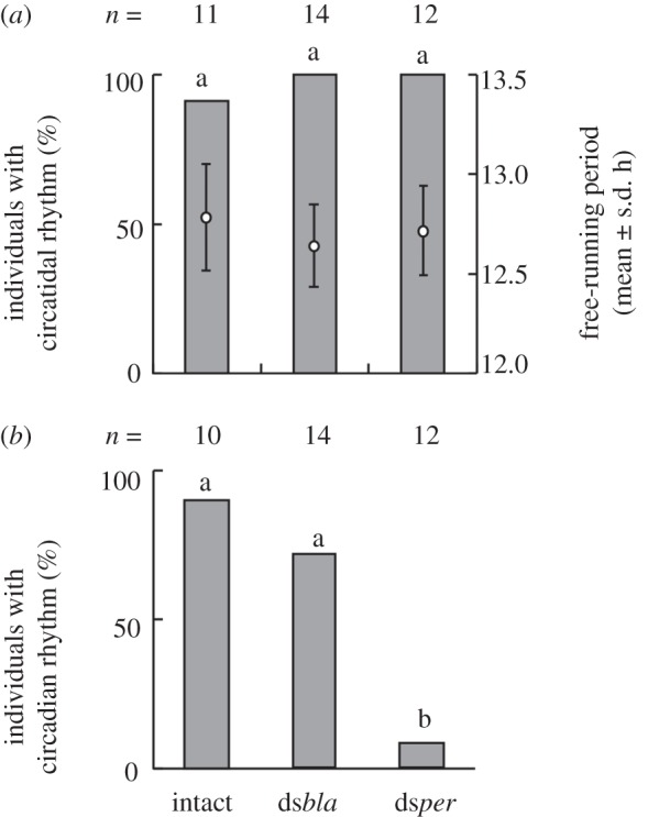 Figure 2.