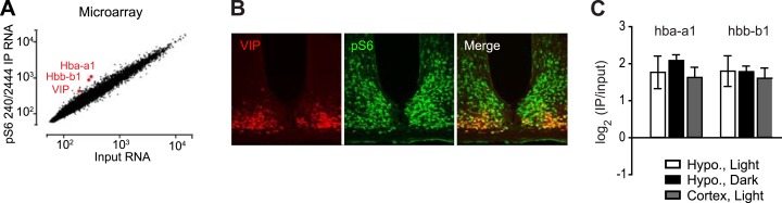 Figure 1—figure supplement 1.