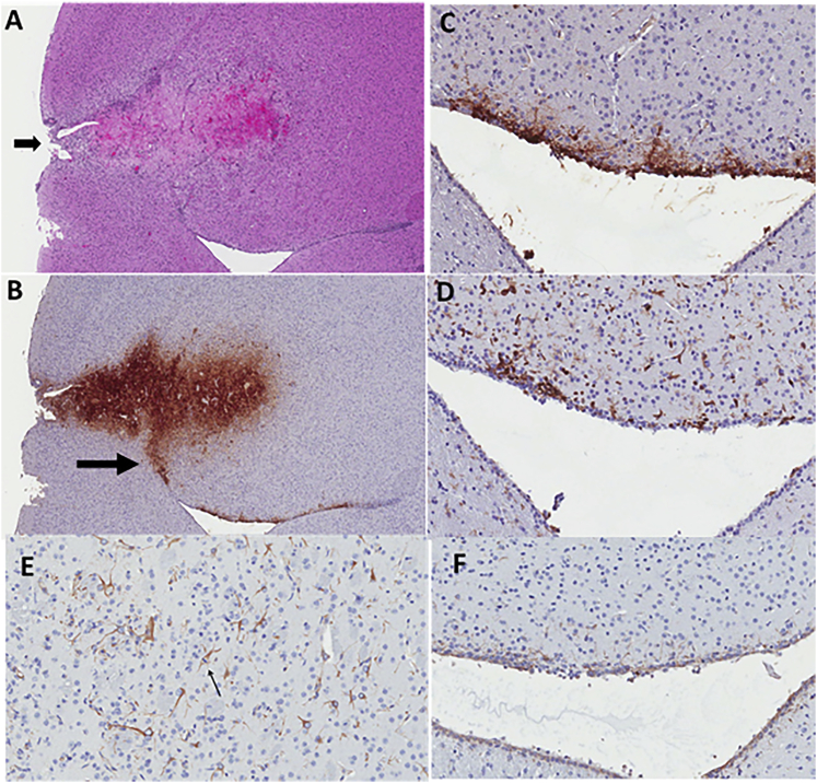 Figure 3