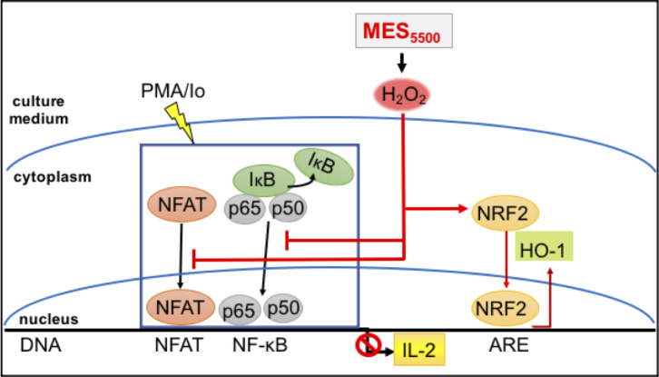 Fig 7