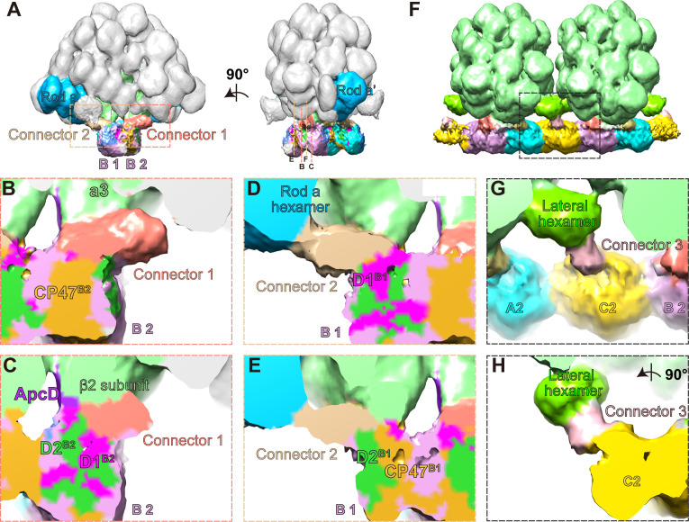 Figure 4.