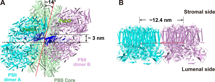 Figure 2—figure supplement 5.