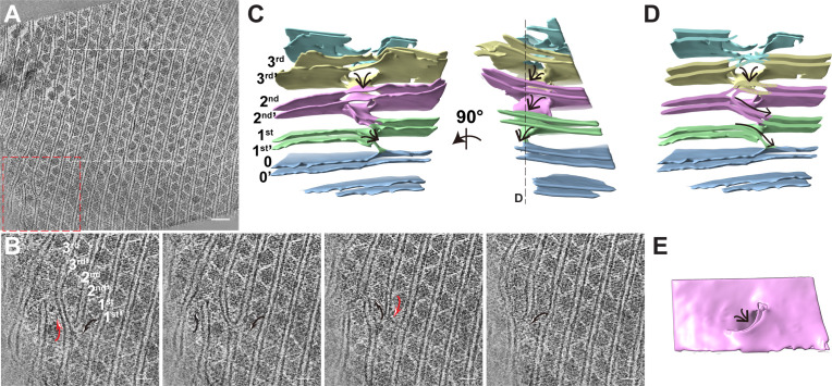 Figure 6.