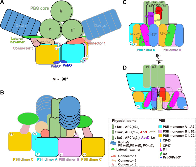 Figure 5.