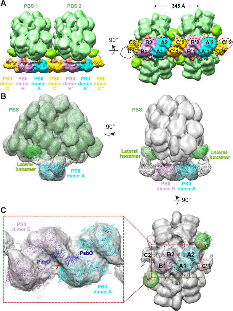 Figure 2.