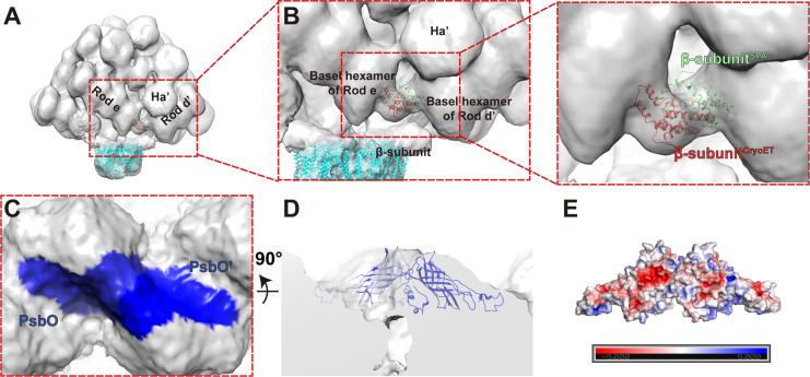 Figure 2—figure supplement 2.