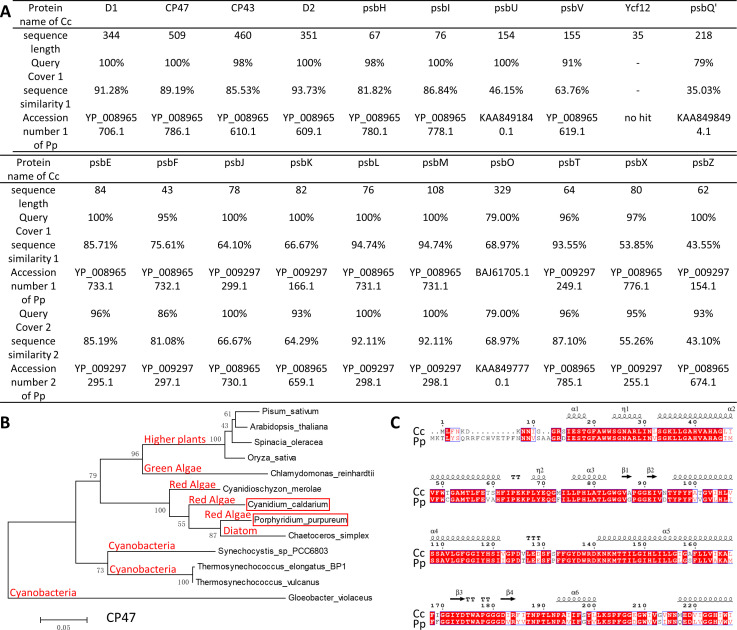 Figure 2—figure supplement 4.