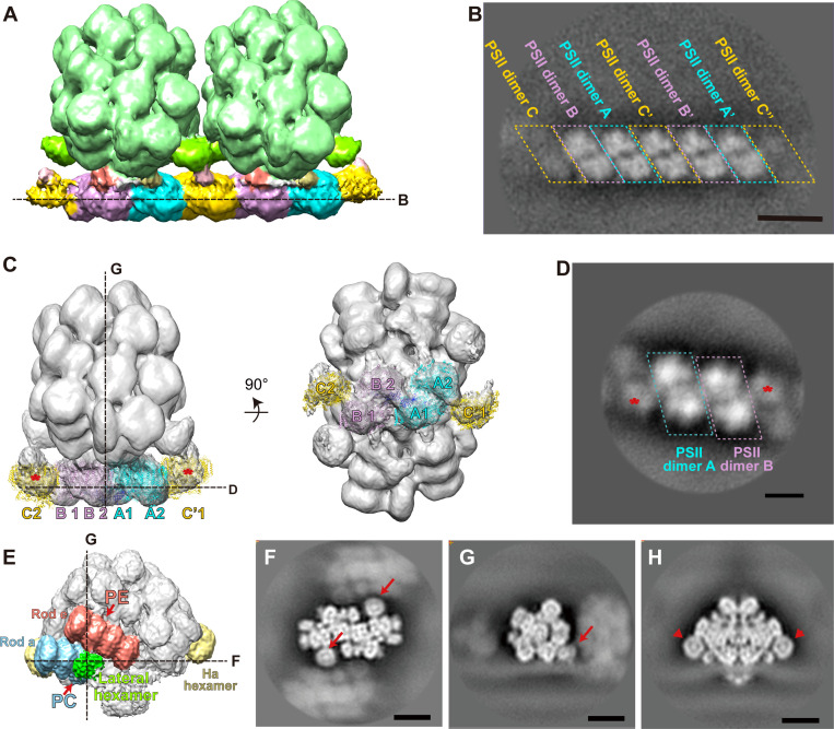 Figure 2—figure supplement 3.