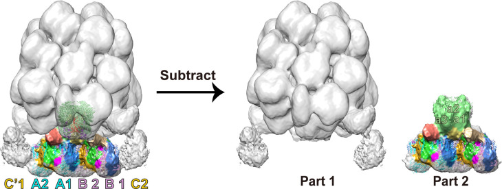 Figure 3—figure supplement 1.