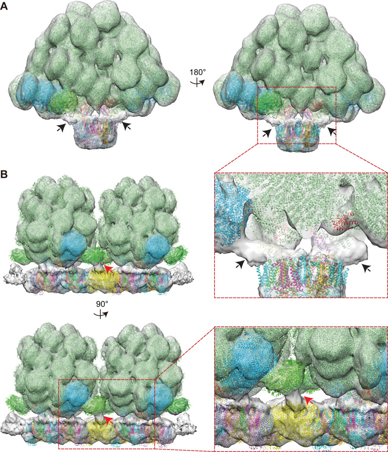 Figure 4—figure supplement 1.