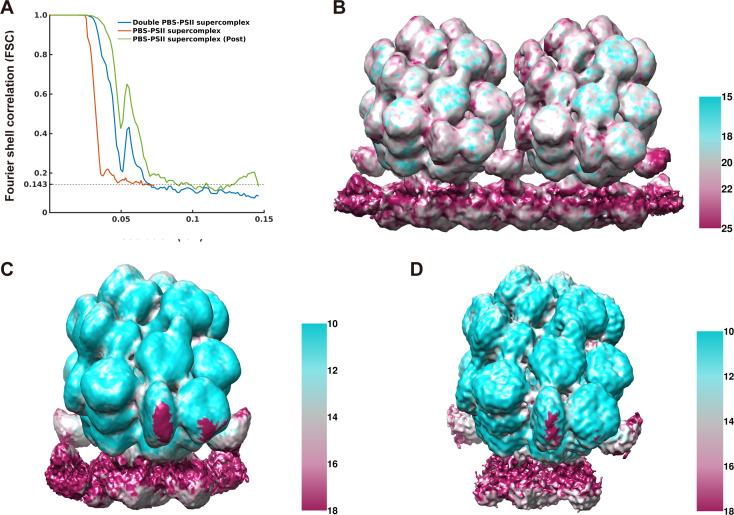 Figure 2—figure supplement 1.